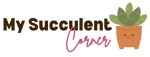 MySucculentCorner
