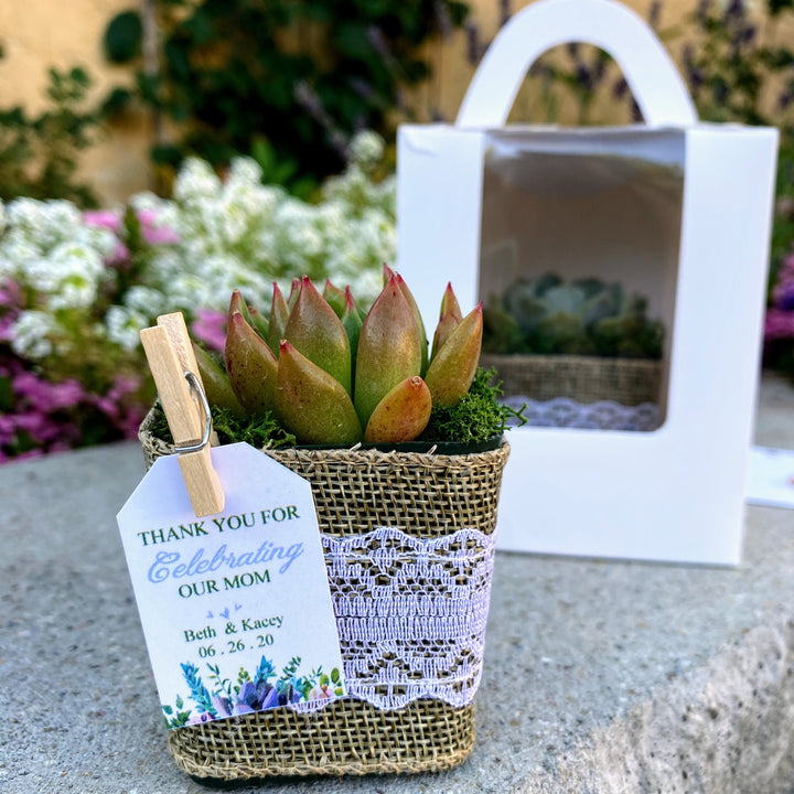 succulent bridal shower gifts Rustic Succulent Party Favors with Burlap Wrapped Pots – MySucculentCorner