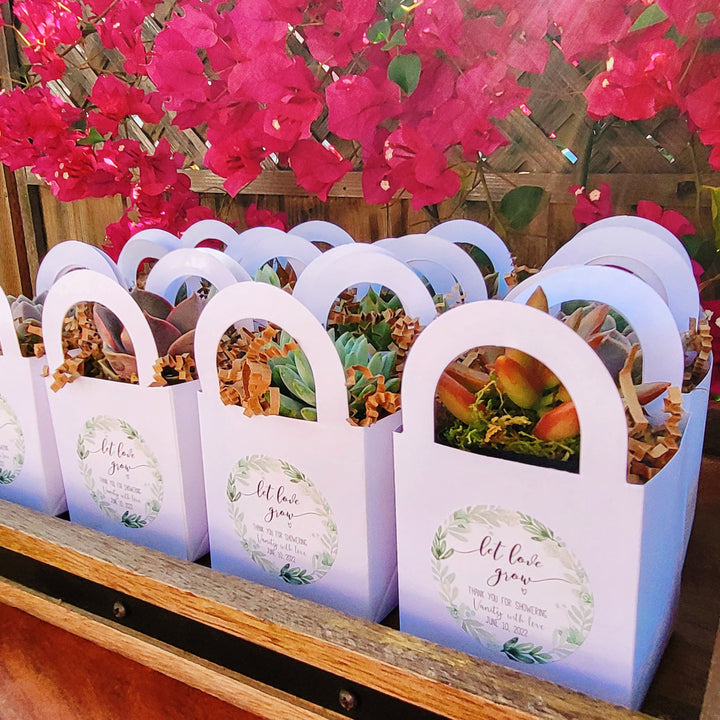 bridal shower succulent theme Succulent Party Favors for Wedding, Bridal Shower – MySucculentCorner