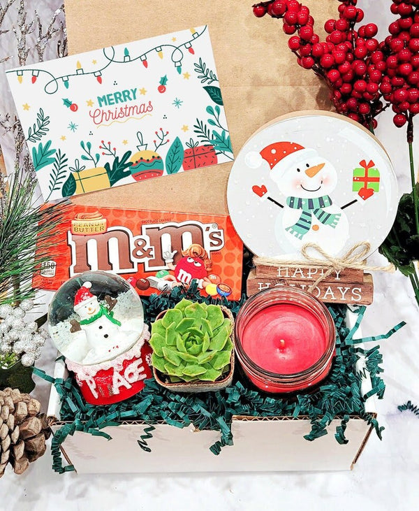 Christmas gift box for bestfriend, Holiday gift box ideas, Succulent gift box for Coworker, Christmas eve gift set