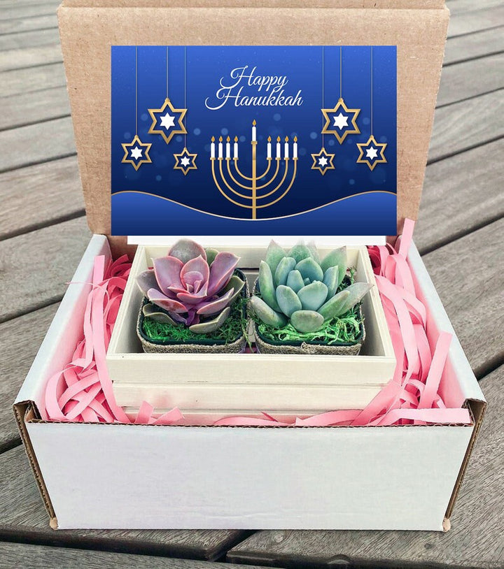 Happy Hanukkah Succulent Gift Box, hanukkah gift, Succulent Candle gif –  MySucculentCorner