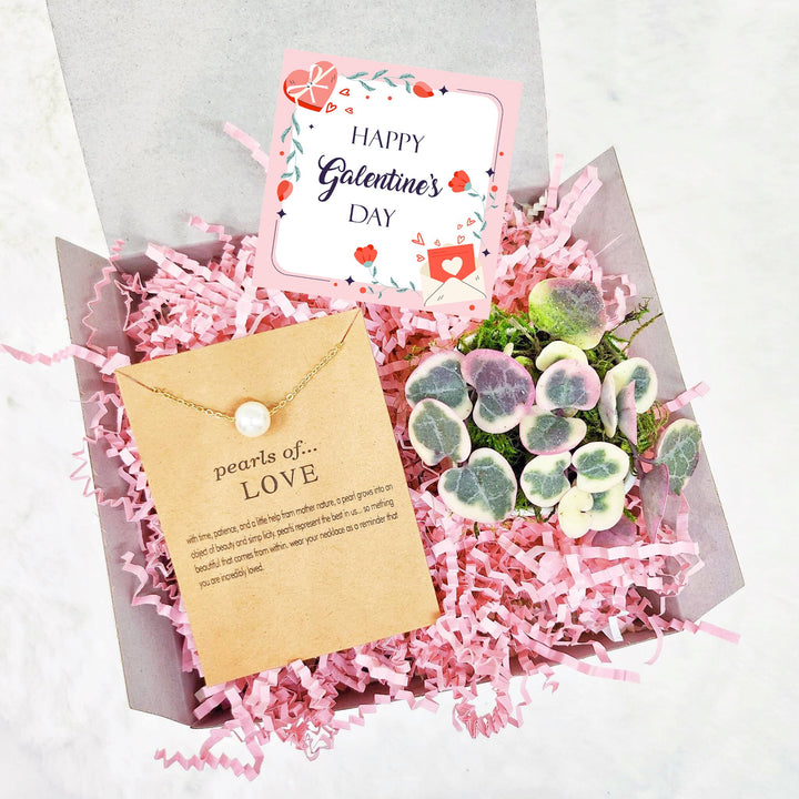 Valentines Day Gift with Variegated String of Hearts in white ceramic pot