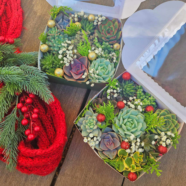 Christmas Succulent Gift Box- Christmas Gift Box - Holiday Corporate Gift - Secret Sister Gift Exchange - Employee Appreciation