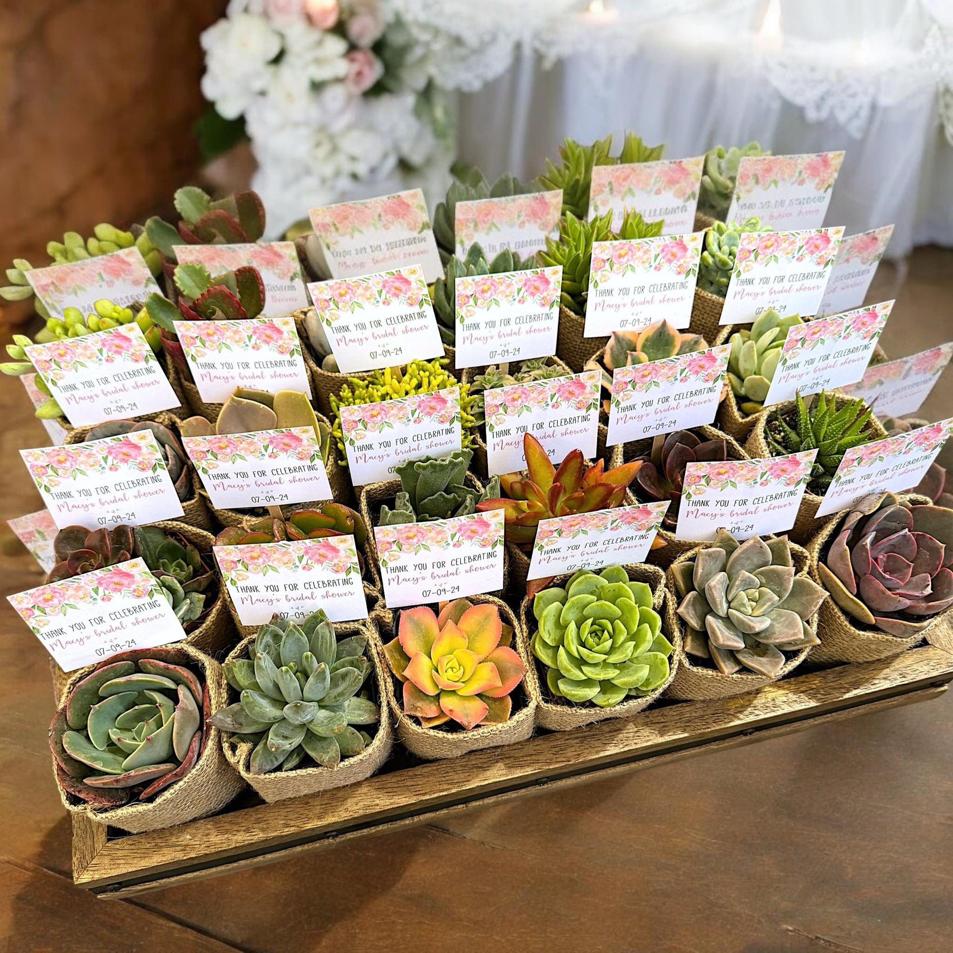 burlap wrapped succulents favors DIY Rustic Succulent Party Favors with Burlap Wrapped Pots – MySucculentCorner